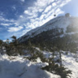 Meet your Posher, Ella